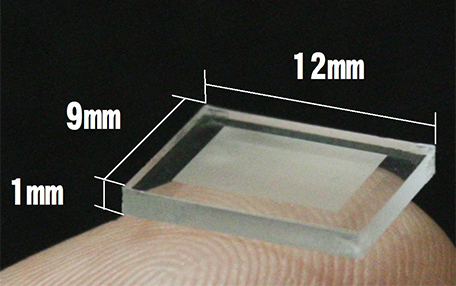 microwell chip