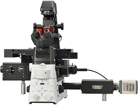 Super-resolution microscope NIKON N-STORM